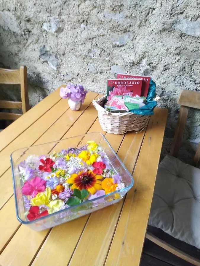 B&B Sopralapanca Postalesio Bed & Breakfast